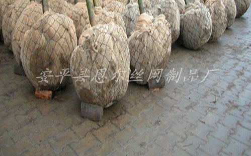 圖片,海量精選高清圖片庫 安平縣恩爾絲網(wǎng)制品廠
