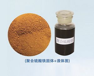 一大把專題頁