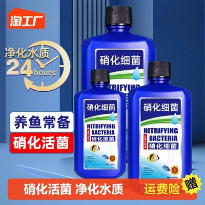 當前網購流行產品