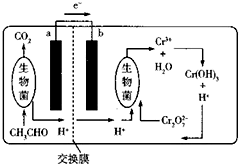 化學與生活.生產密切相關.下列敘述錯誤的是( )A.過氧化鈉可用作呼吸面具中的供氧劑B.向海水中加凈水劑明礬可使海水淡化C.使用含有氯化鈣的融雪劑會加速橋梁的腐蝕D.服用抗氧劑維生素C有利于人體對鐵元素的吸收 題目和參考答案-